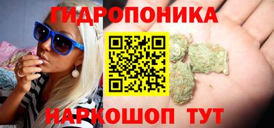 индика Краснокаменск