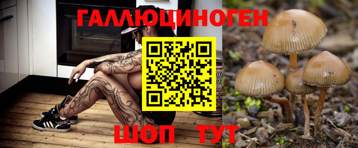 Псилоцибиновые грибы Magic Shrooms Коряжма