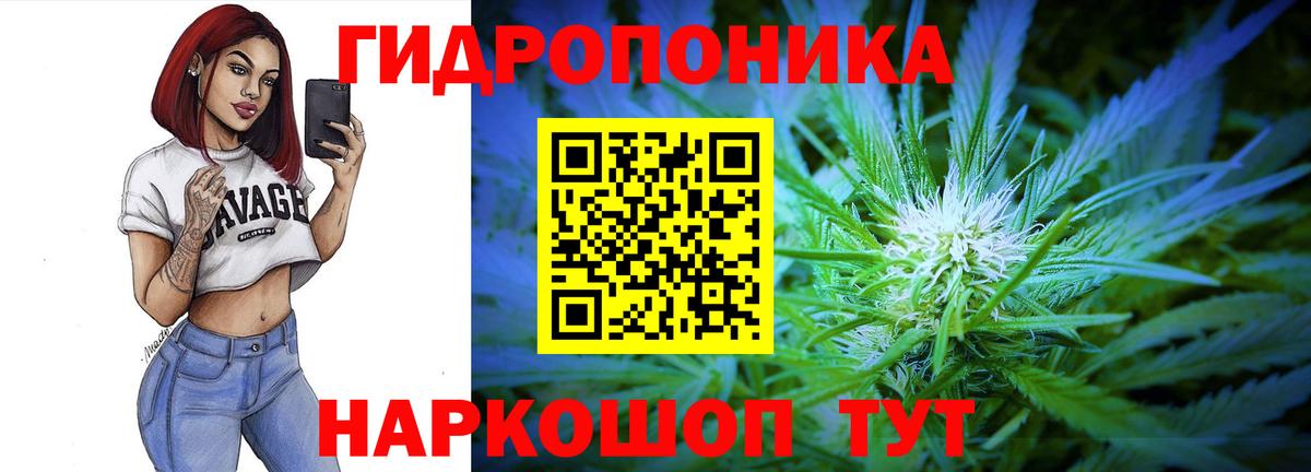 МАРИХУАНА MAZAR  МАРИХУАНА марихуана  Вход с VPN  Коряжма  МАРИХУАНА планчик  МАРИХУАНА OG Kush 